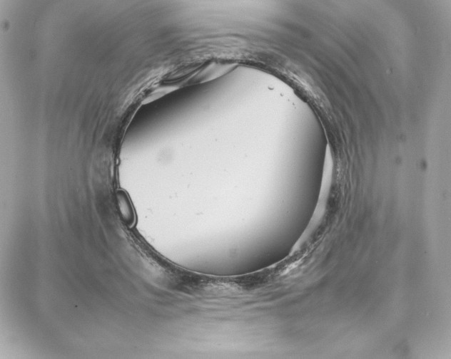 X0000087750397200705211042