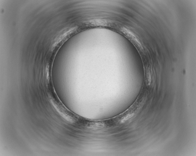 X0000087750398200705211042