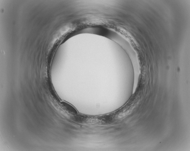 X0000087750399200705211042