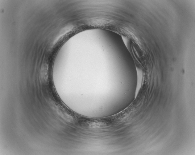 X0000087750400200705211042