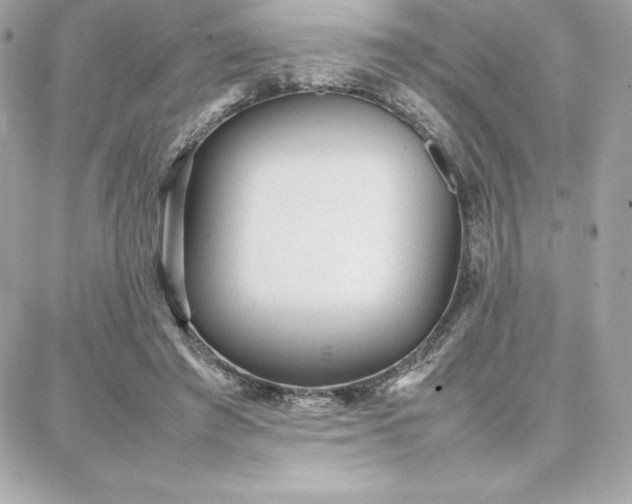 X0000087750401200705211042