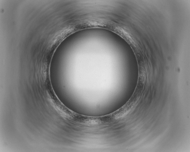 X0000087750402200705211042