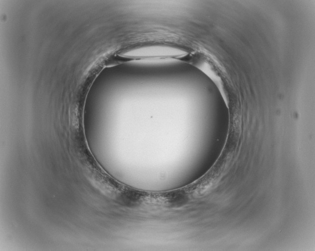 X0000087750403200705211042