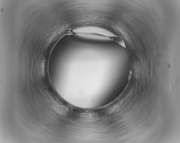 X0000087750404200705211042