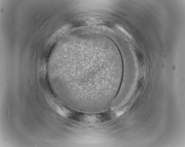 X0000087750405200705211042