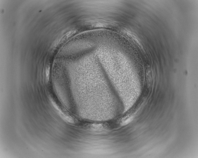 X0000087750406200705211042