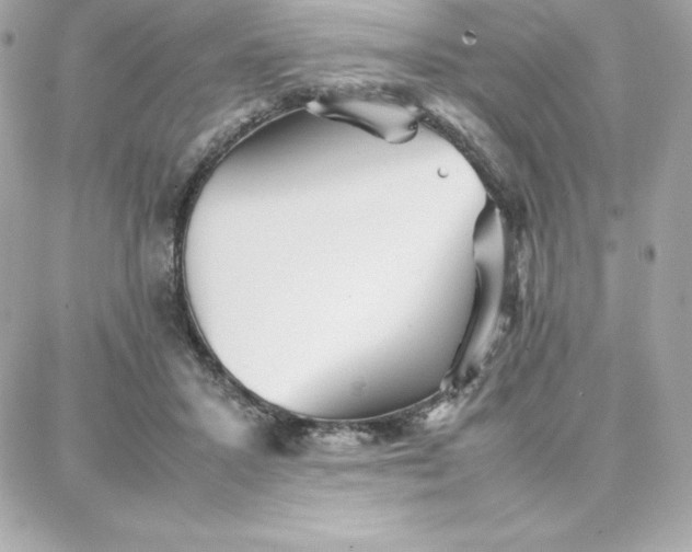 X0000087750407200705211042