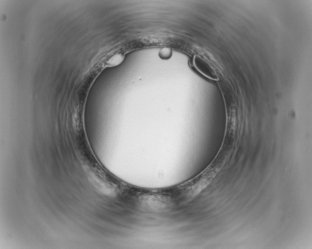 X0000087750408200705211042