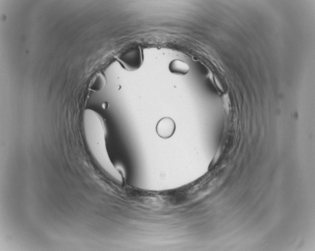 X0000087750411200705211042