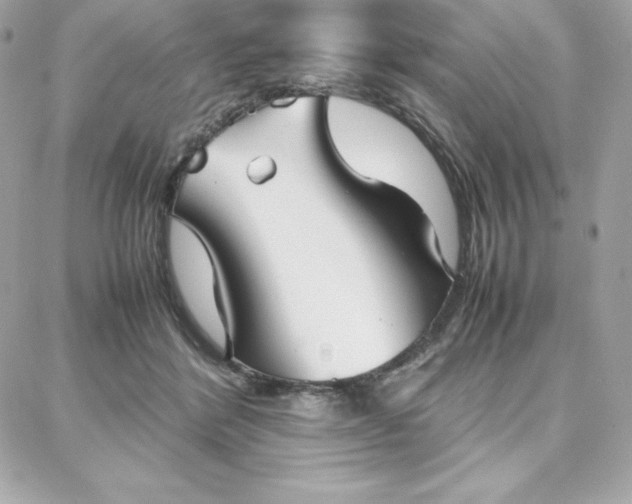 X0000087750412200705211042