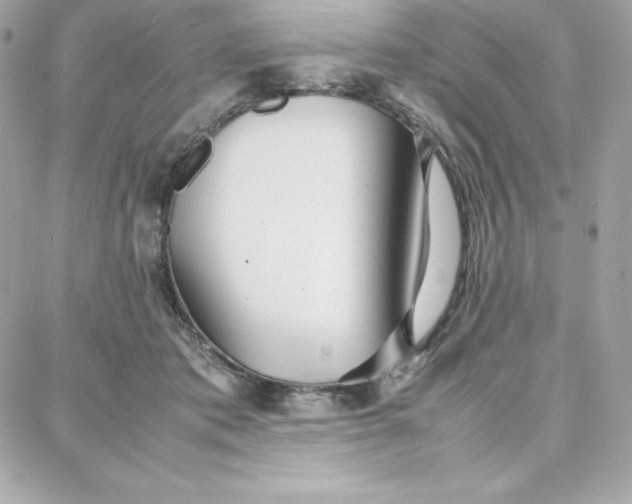 X0000087750413200705211042