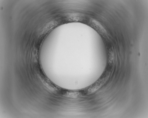 X0000087750414200705211042