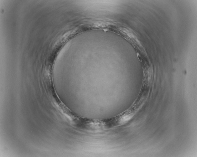 X0000087750415200705211042