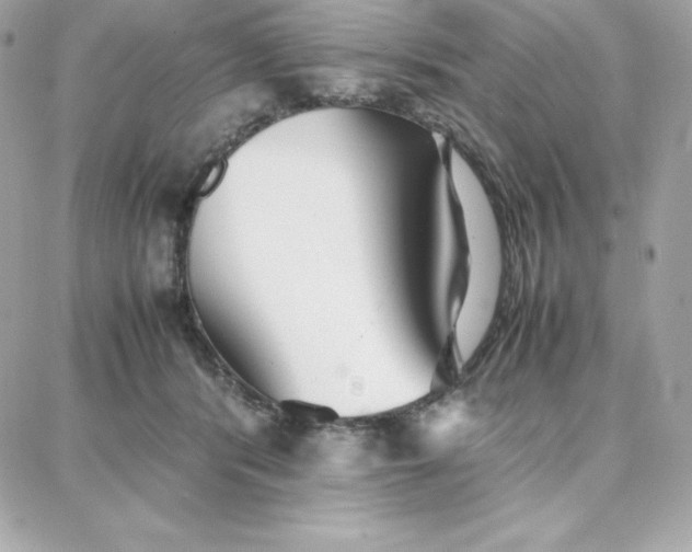 X0000087750416200705211042