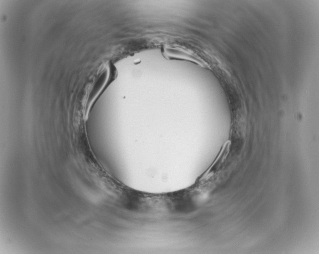 X0000087750417200705211042