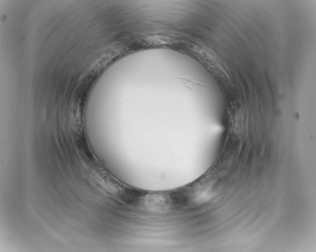 X0000087750418200705211042