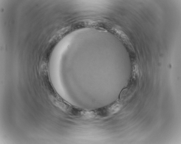 X0000087750419200705211042