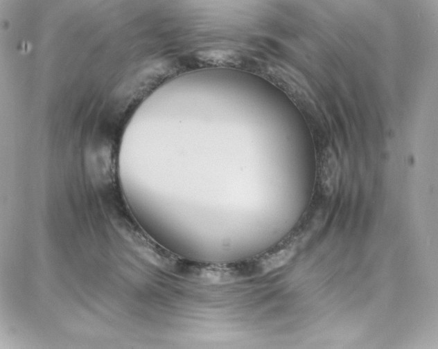 X0000087750420200705211042