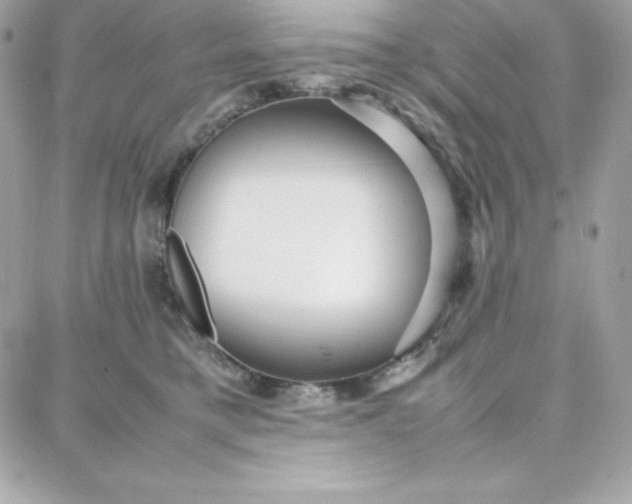 X0000087750421200705211042