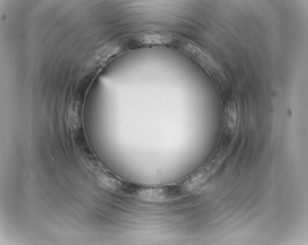 X0000087750422200705211042