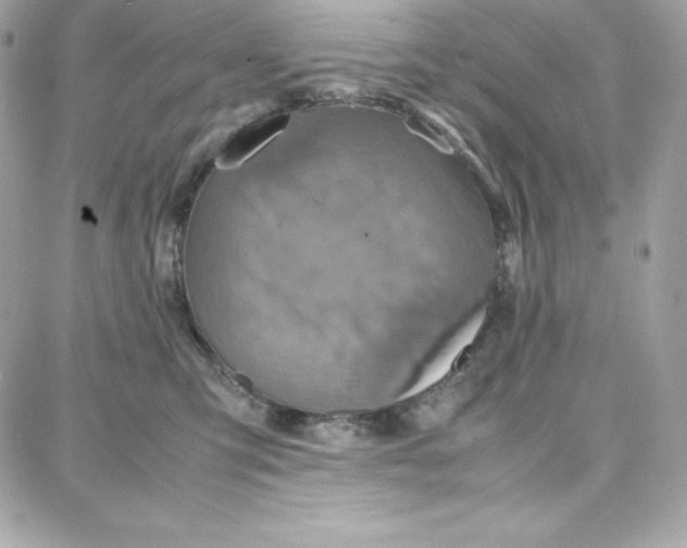 X0000087750423200705211042