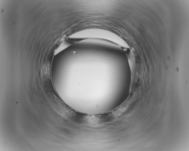 X0000087750425200705211042