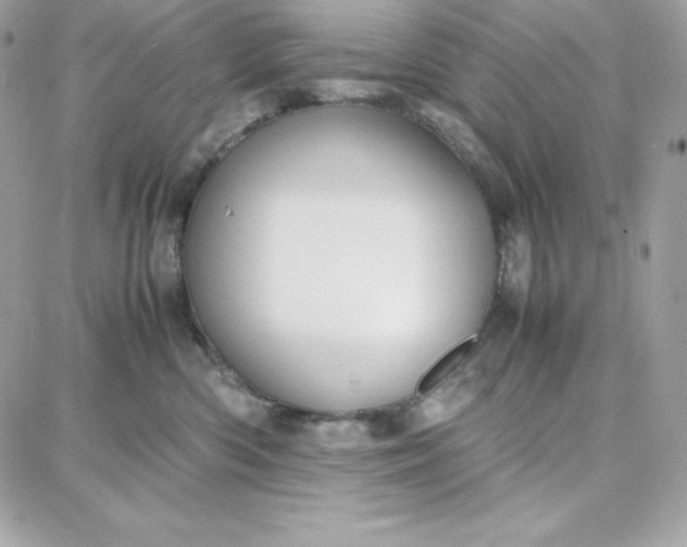 X0000087750426200705211042