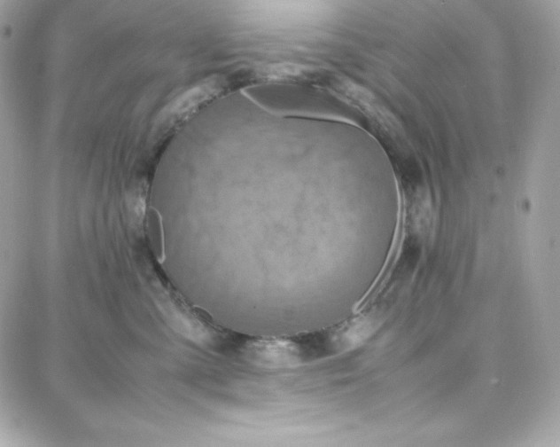 X0000087750427200705211042