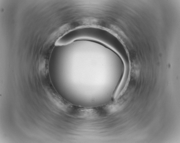 X0000087750428200705211042