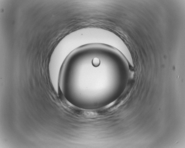 X0000087750429200705211042