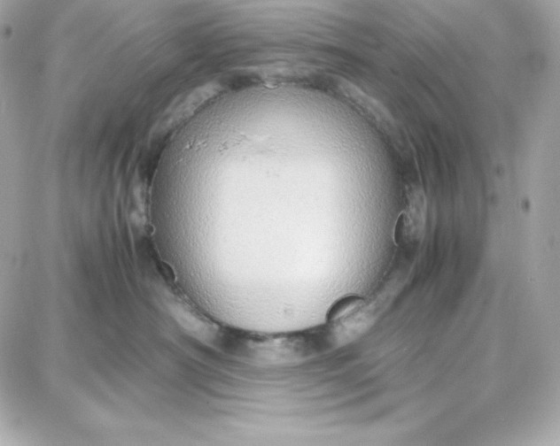 X0000087750430200705211042