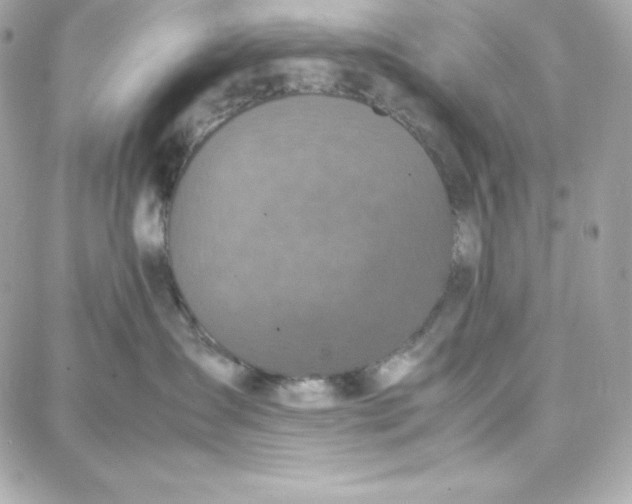 X0000087750431200705211042