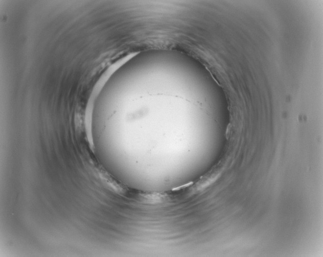 X0000087750432200705211042