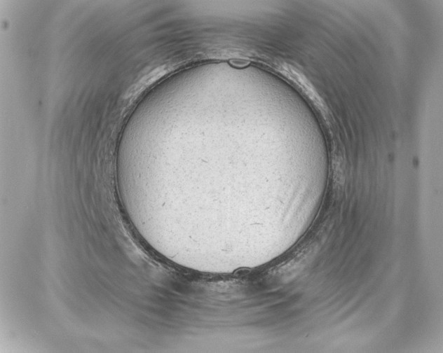 X0000087750433200705211041