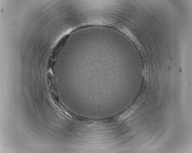 X0000087750434200705211041