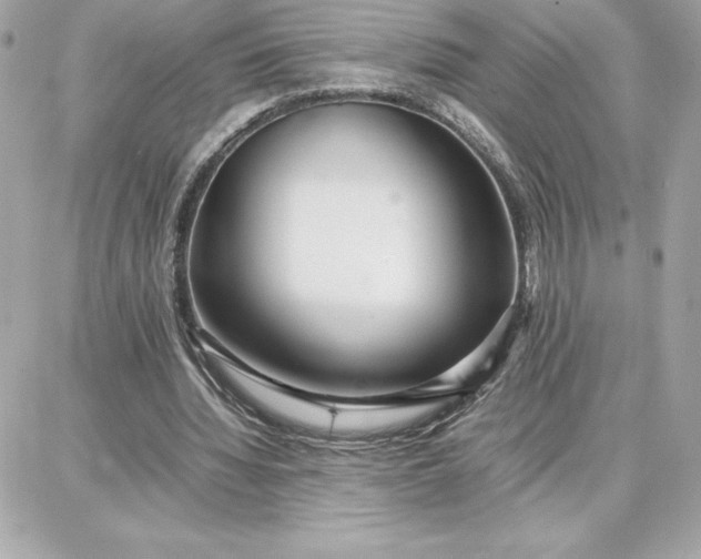 X0000087750436200705211041