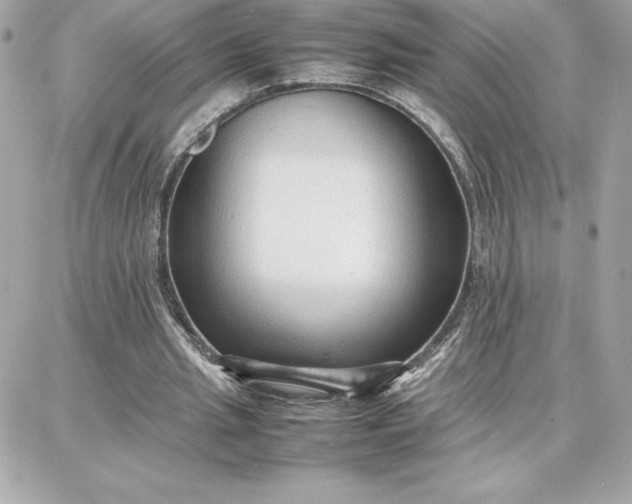 X0000087750437200705211041