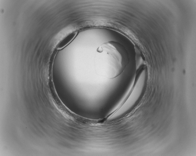 X0000087750438200705211041