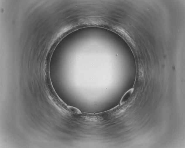 X0000087750439200705211041