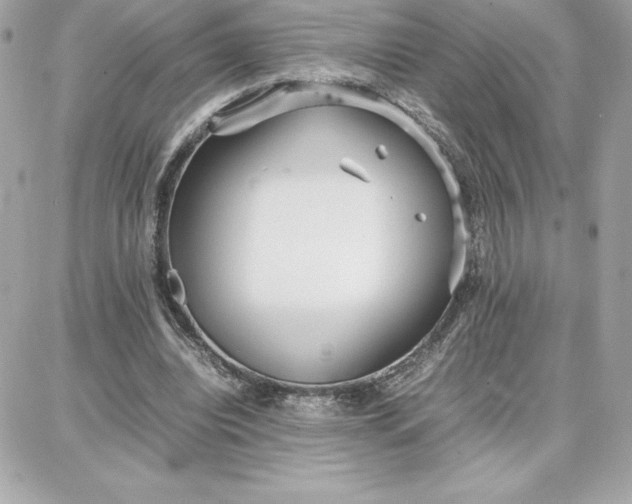 X0000087750440200705211041