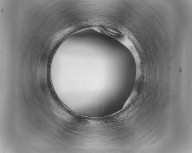 X0000087750442200705211041