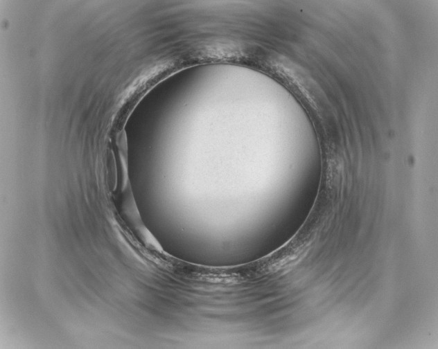 X0000087750443200705211041