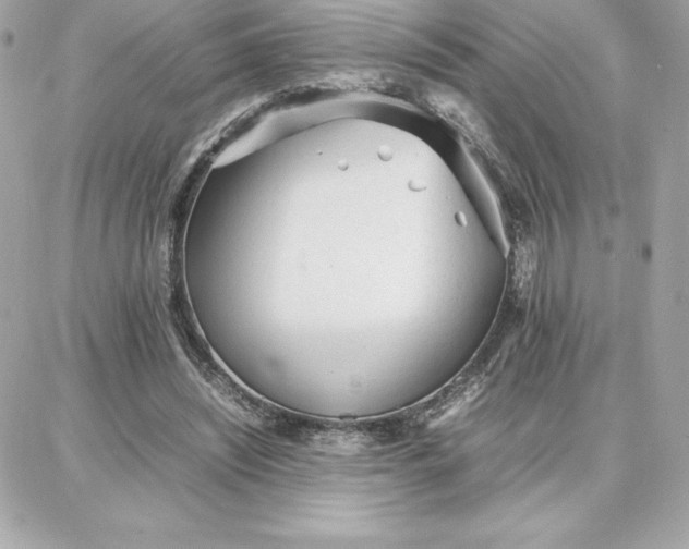 X0000087750444200705211041