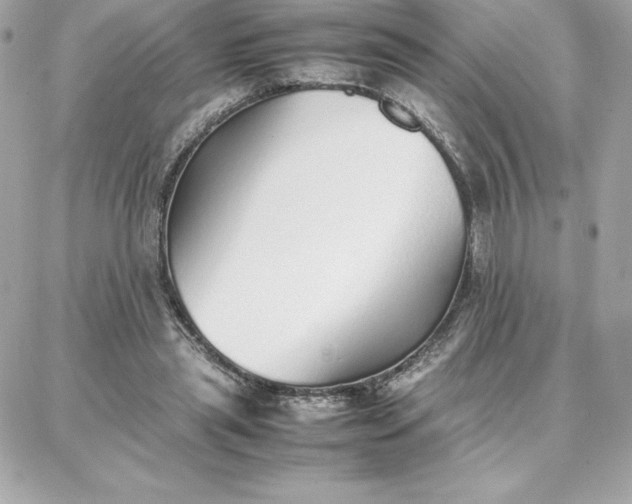 X0000087750445200705211041