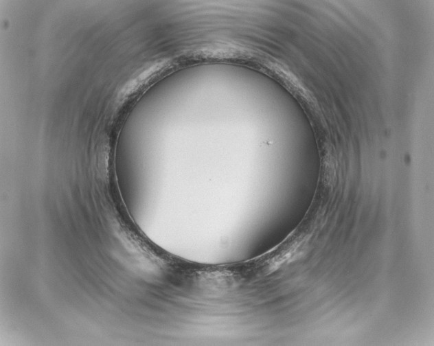 X0000087750446200705211041