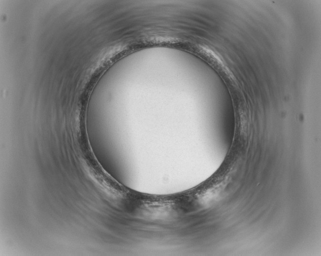 X0000087750447200705211041