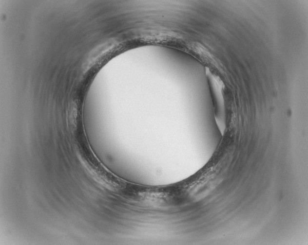 X0000087750448200705211041