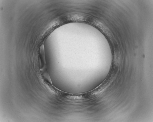 X0000087750449200705211041