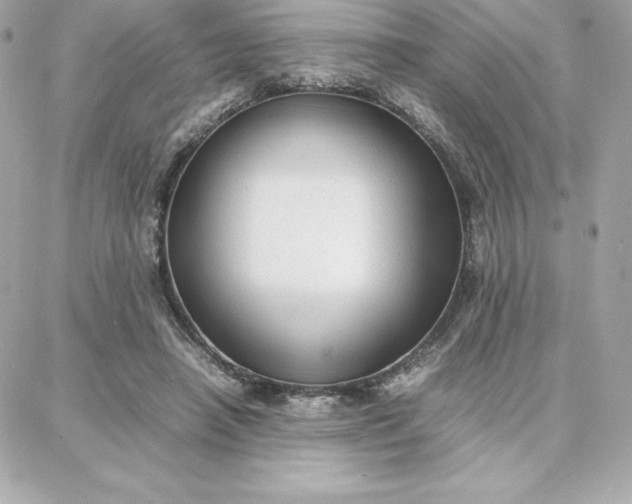 X0000087750450200705211041