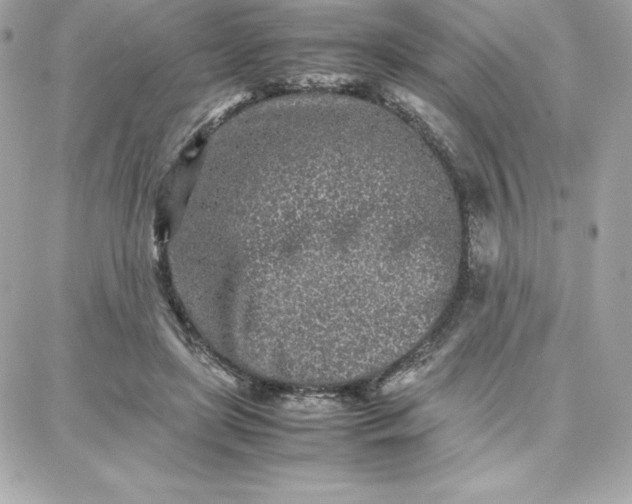 X0000087750451200705211041